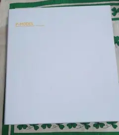 P-MODEL 太陽系亞種音 CD-BOX（CD16枚）旧パッケージ