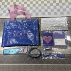 SEVENTEEN LOVE 大阪　プレミアムシート 特典