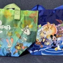 香港ディズニーランド ショッピングバッグ 2枚セット