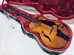 2026年最新】ibanez ハードケースの人気アイテム - メルカリ