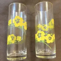 昭和レトロ　アデリアグラス2個セット