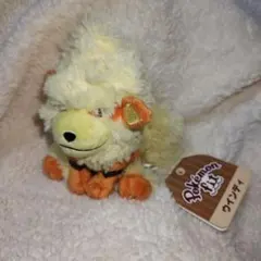 【TN】ウインディ ★ 拡張パック第2弾 地図にない町 017/092 2025年最新】ウインディの人気アイテム - メルカリ