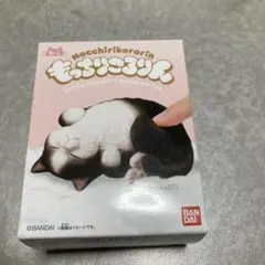 即送！【ゴンベ】ポケモン　ポケットモンスター　ワッフル地　ぬいぐるみのサムネイル