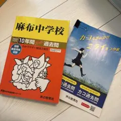 Item thumbnail for item 393ff22a-cf04-4b56-99ca-a4f84b69c604