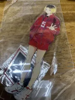 ハイキュー!! Ani-Art 第5弾 特大アクリルスタンド 孤爪研磨