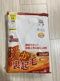 暖か裏起毛 長袖V首シャツ 2枚組 LLサイズ