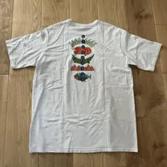 patagonia　50周年限定tシャツ　白　L 【送料込】