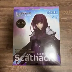 Fate/Extella Link スカサハ フィギュア