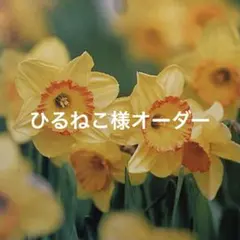 ひるねこ様専用