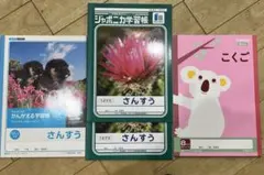 学習帳 4冊セット さんすう こくご ジャポニカ学習帳