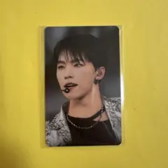 SEVENTEEN セブチ エキシビション 入場 特典 トレカ ディノ