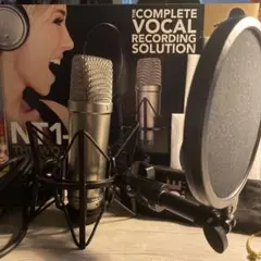 2025年最新】rode nt1-aの人気アイテム - メルカリ