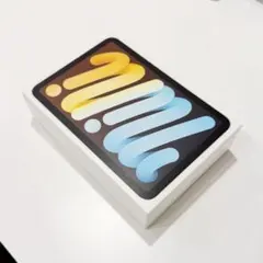 Apple iPad mini 6 シルバー 64gb 本体　(画面エラーあり)