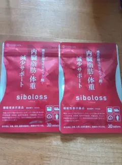 2025年最新】sibolossの人気アイテム - メルカリ