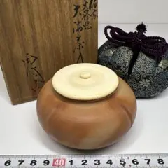 2025年最新】大海茶入の人気アイテム - メルカリ