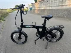 初夏のセール開催中】折りたたみ電動アシスト自転車 ERWAY A02