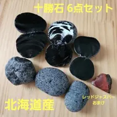 青札 メキシカンジャイアント×ざわわ 抜き苗 - メルカリ