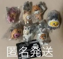 SKZOO ガチャ つまんでつなげてますこっとvol.2 7種セット