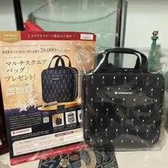 Item thumbnail for item 163210ce-34d0-4779-8520-3525720d45b8