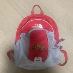 THE NORTH FACE 赤 グレー リュック