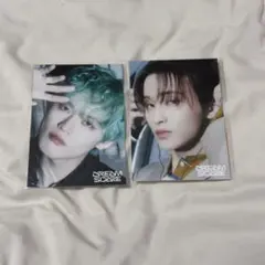 DREAMSCAPE ポストカード マーク チョンロ