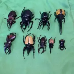YUJIN 原色昆虫類甲虫図鑑 標本風フィギュアセット YUJIN 原色昆虫類甲虫図鑑 標本風フィギュアセット - メルカリ