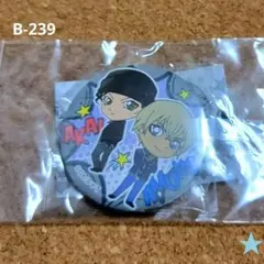 【新品未使用】名探偵コナン カプセル缶バッジ ver.2(赤井＆安室)
