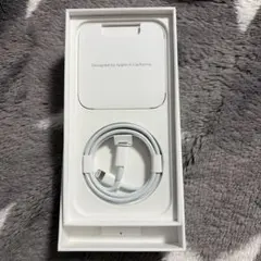 【正規品】純正　Apple Lightningケーブル タイプC iPhone