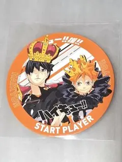 ハイキュー ボドゲマーカー アニメイト　特典 日向 影山　ボドゲ