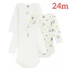 Item thumbnail for item 959f21ab-dd92-4fb4-8e4a-4b28f785a730