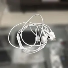 EarPods (USB-C) Apple純正