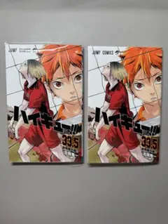 ハイキュー 劇場版 ゴミ捨て場の決戦 映画 入場者特典 33.5巻 音駒番外編