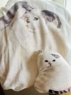 Item thumbnail for item f61b0134-5262-4dd5-a232-6a182b9c5d49