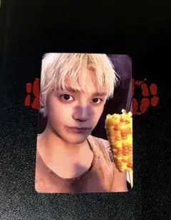 TAEYONG テヨン　トレカ　WYLD BOOK
