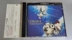 COBAKA Sunaga t Experience