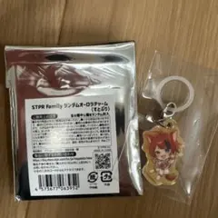 STPR Family ランダムオーロラチャーム　莉犬