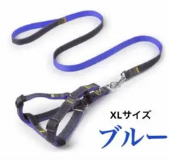 Item thumbnail for item 51920f07-3760-4548-9cf5-cabff8b632a9