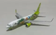 Solaseed Air B737-800 JA803X Nassy Jet - メルカリ