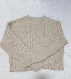 WEGO 美品 ベージュ ケーブル編み ニット Fサイズ