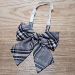 Item thumbnail for item 96594418-a9ad-489a-9e3d-200912b65ae0