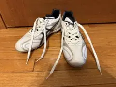 新品未使用】野球 スパイク 29cm すみれスポーツ(ジャガーズ創工