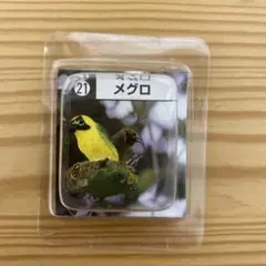 2026年最新】セグロセキレイの人気アイテム - メルカリ