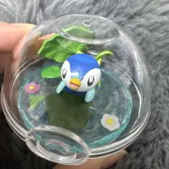 ポケモン　リーメント　ポッチャマ
