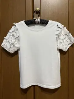 Item thumbnail for item fb2fb57f-1d9a-46fa-bf95-9579ccff277e