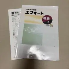 小学校実力練成 エフォート 社会 B 解答解説付き