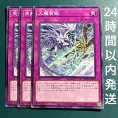 2025年最新】天龍雪獄の人気アイテム - メルカリ