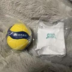ハイキュー!! ✕MIKASA　コラボBOX付きボール　青葉城西高校