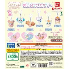 ぷちきゅあ～Precure Fairies～めじるしアクセサリー全6種フルセット
