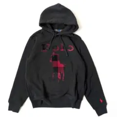 2026年最新】POLO RALPH LAUREN 柄・デザイン：チェック メンズ