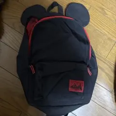 ディズニーリゾート　リュック